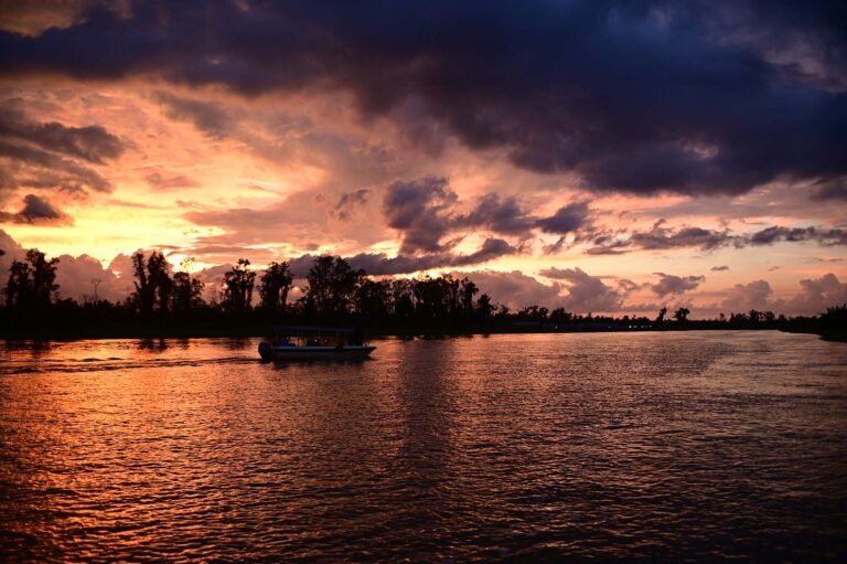 D2 Image description