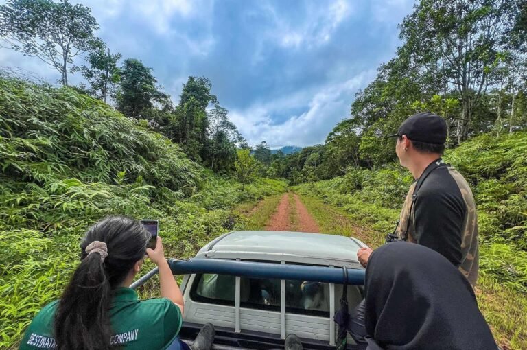 D1 Image description