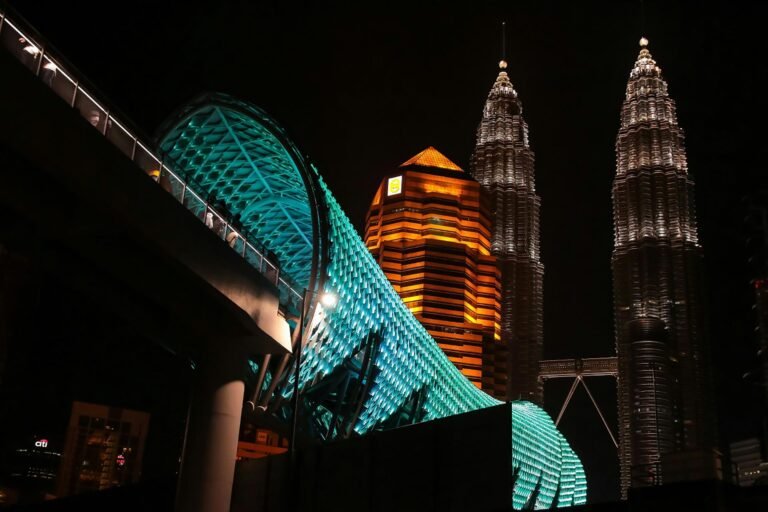 D1 Image description