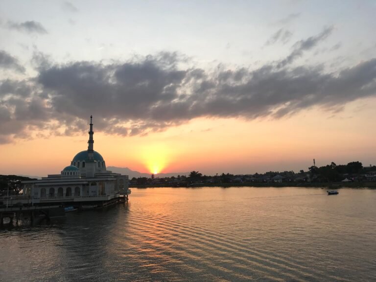 D1 Image description