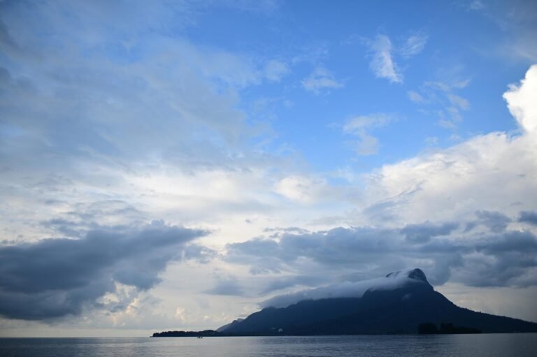 D1 Image description