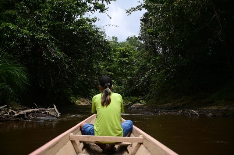 D2 Image description