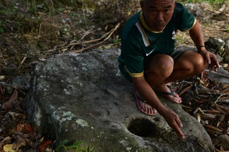 D2 Image description