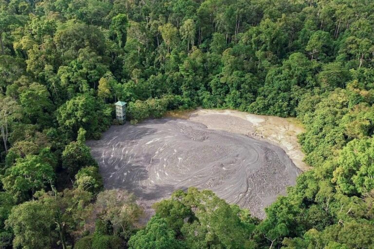 D2 Image description