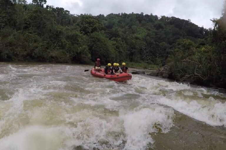 D2 Image description