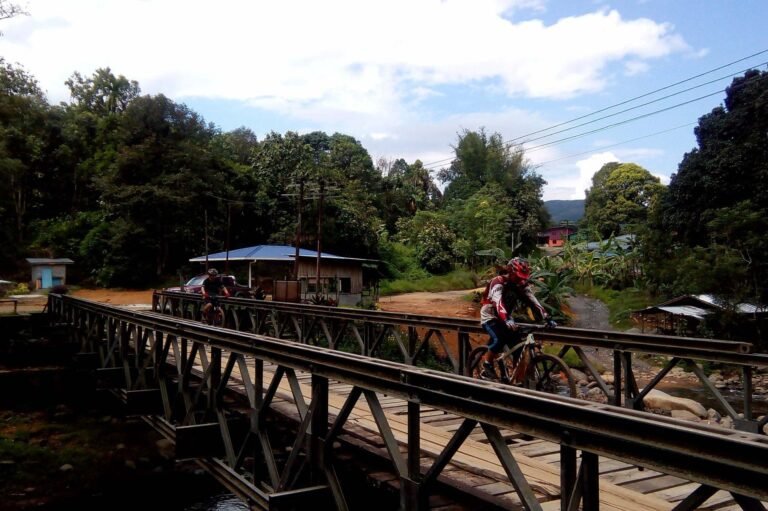 D2 Image description