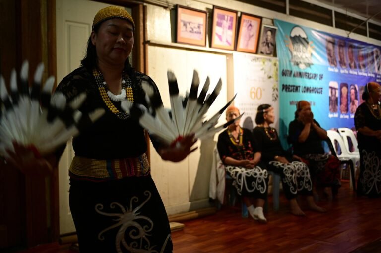 D3 Image description