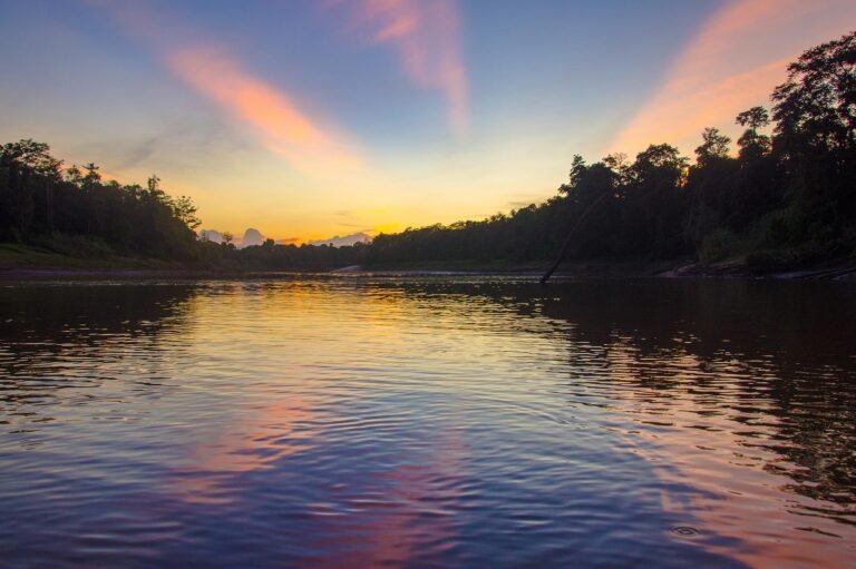 D3 Image description