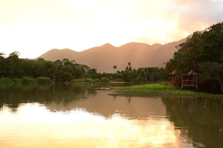 D3 Image description