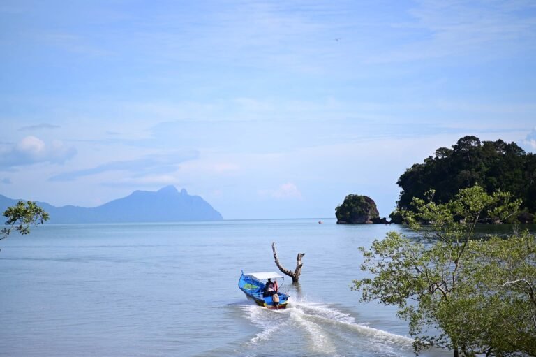 D3 Image description