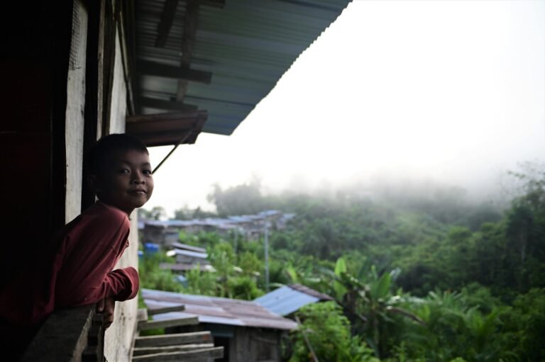 D3 Image description