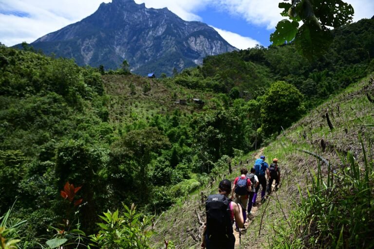 D3 Image description