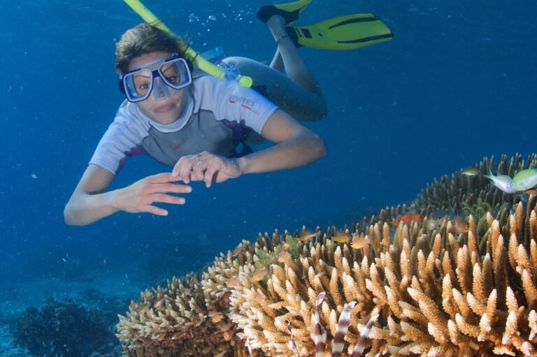 D3 Image description