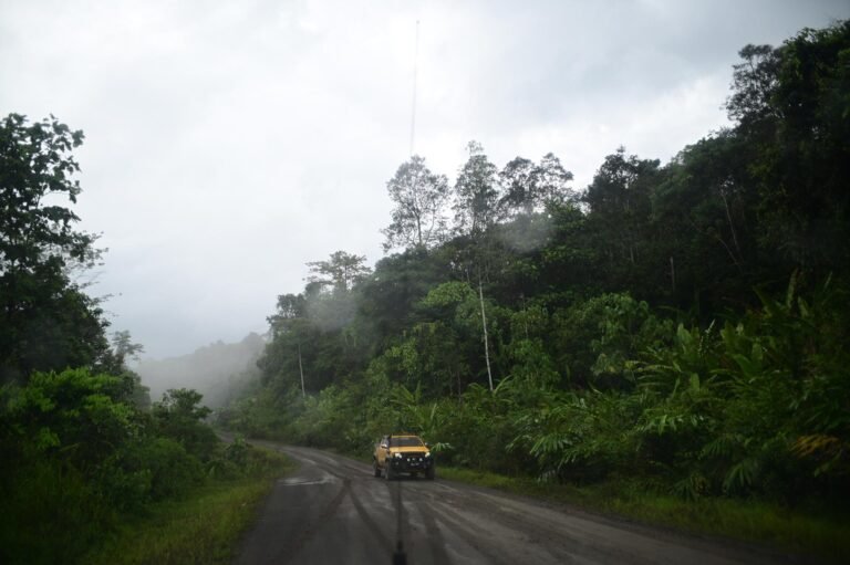 D4 Image description