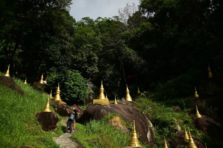 D4 Image description