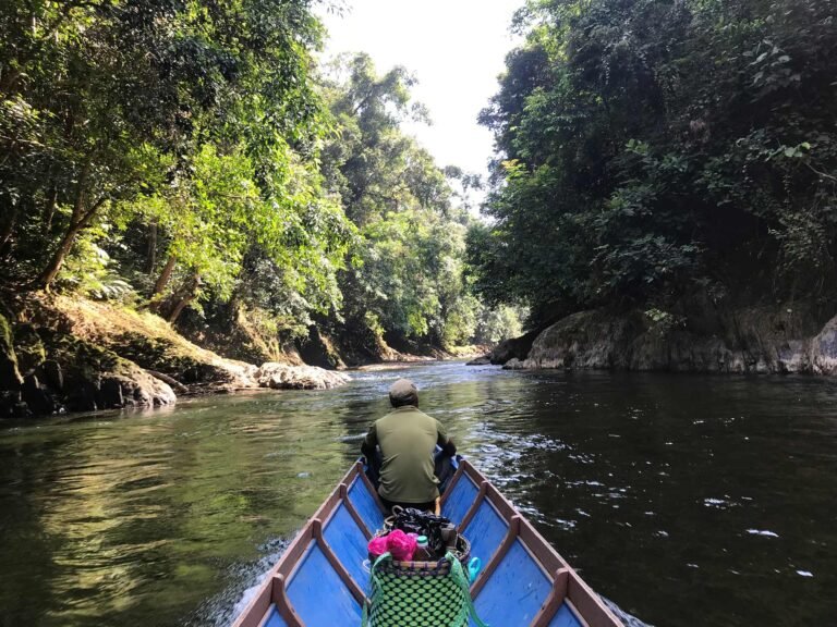 D4 Image description