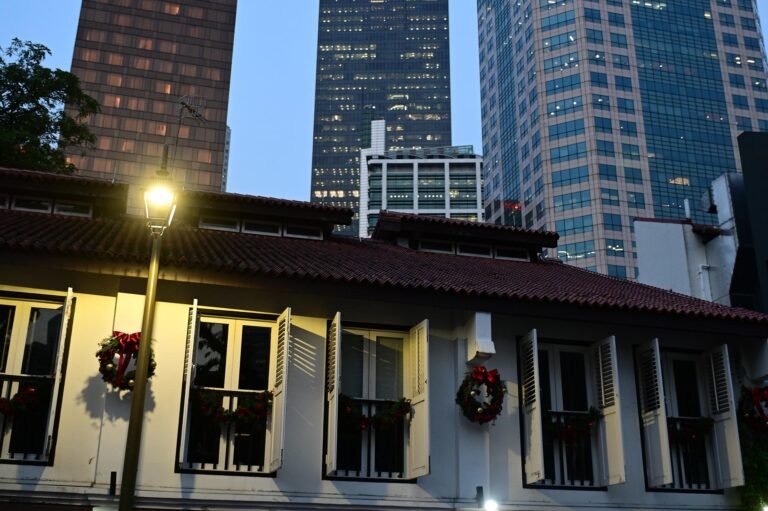 D4 Image description