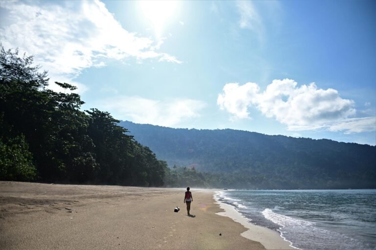 D5 Image description