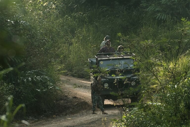 D5 Image description