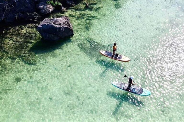 D5 Image description