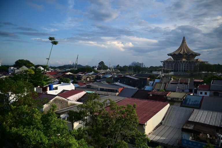 D6 Image description