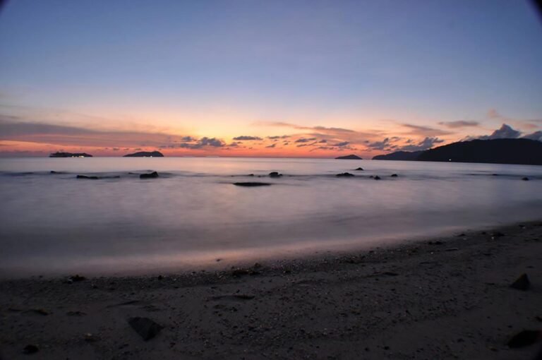 D6 Image description