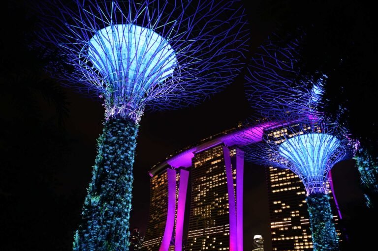 D6 Image description