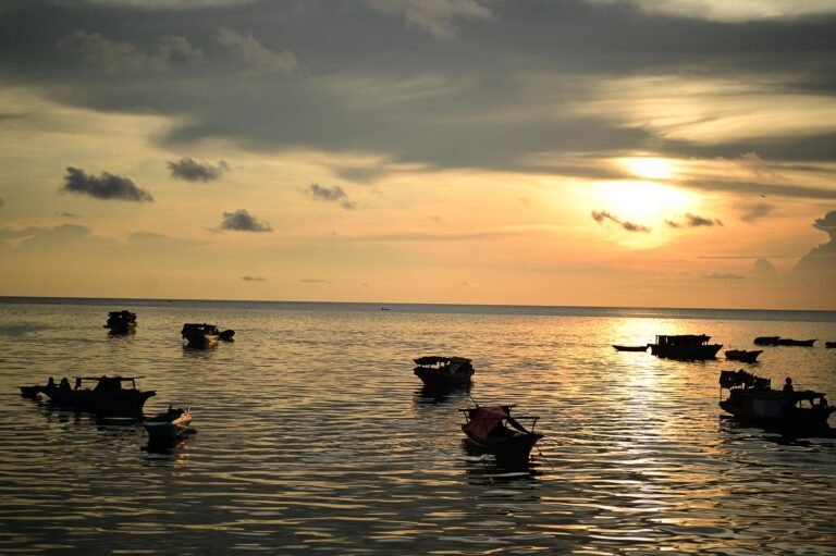 D7 Image description