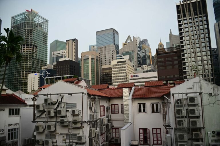 D7 Image description